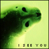 I See You